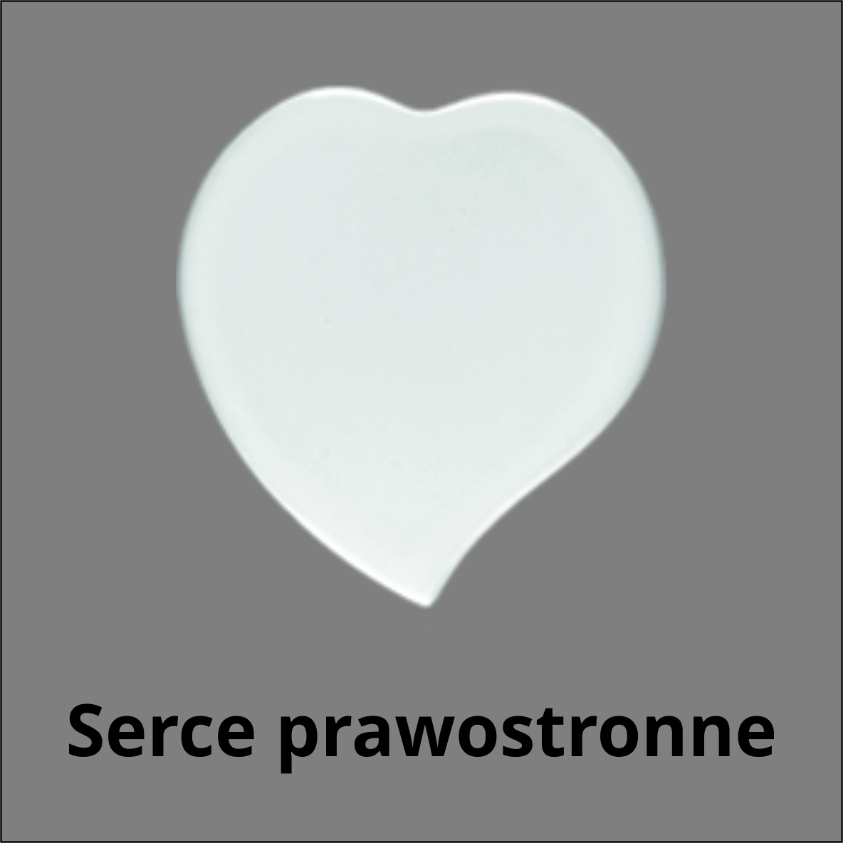 fotografia nagrobkowa