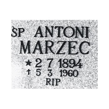 elementy z brązu litery